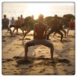 LargeImg-TT-Goa-200