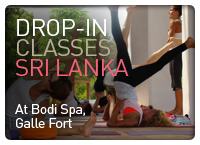 DropinsSriLanka